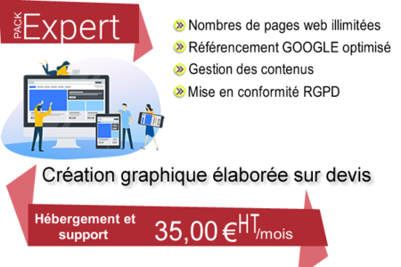 PACK EXPERT SITE WEB DE PRESENTATION