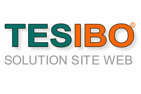 SOLUTION WEB TESIBO Site de présentation